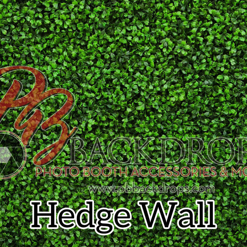 Hedge Wall